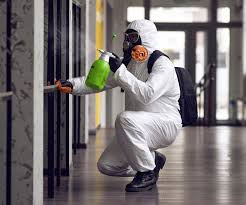 Why You Should Choose Our Mold Remediation Services in Cool Valley, MO